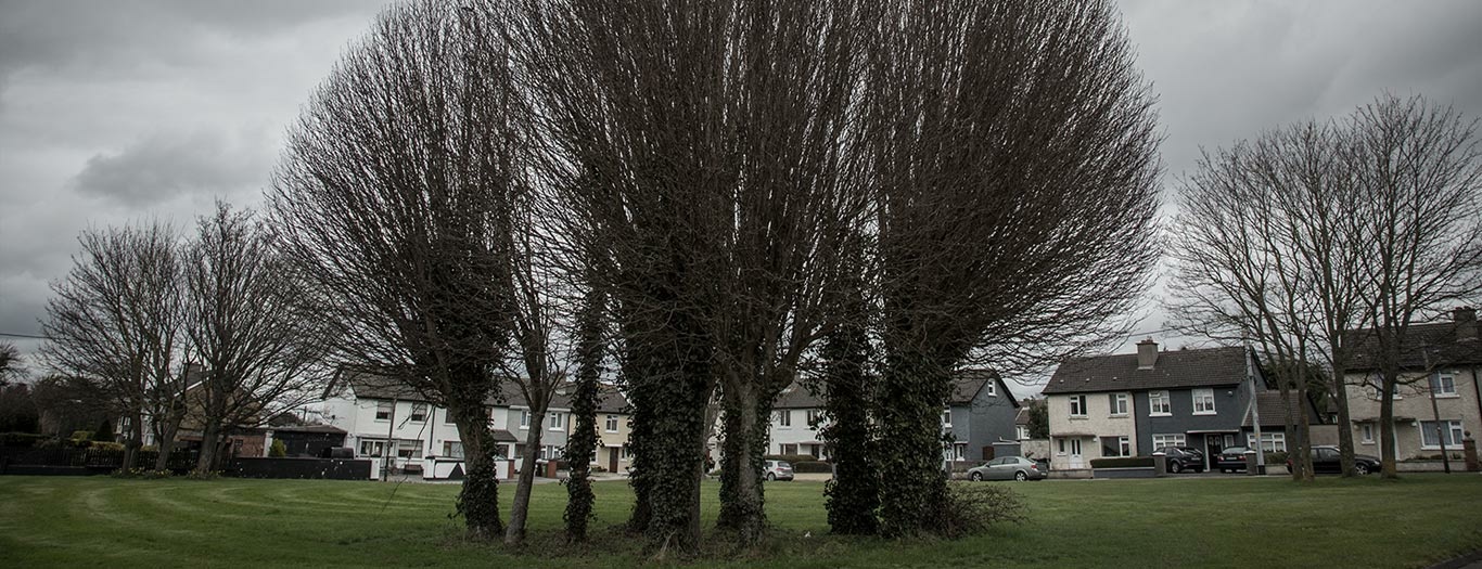 Banner Dragana Tallaght Houses